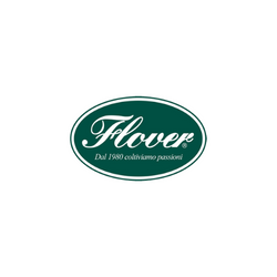 Flover